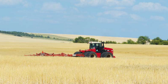 Назло рекордам: чего в этом году ждать от урожая зерновых?