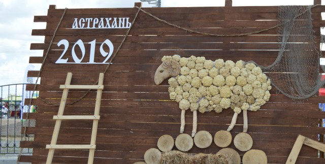 XX Российская выставка племенных овец и коз