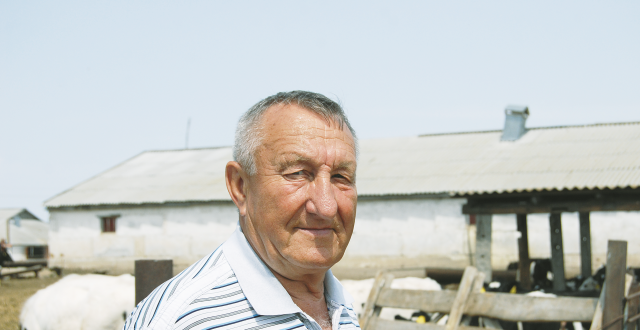 Геннадий Побоков:« Коровы всегда выручали  наше хозяйство»