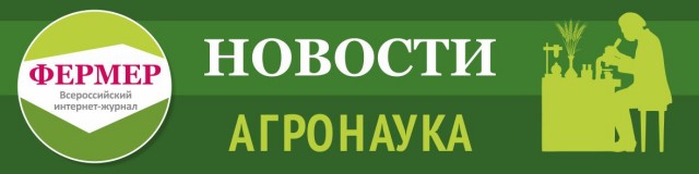 В России откроют семь организаций по селекции пшеницы