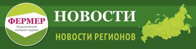 В Курской области будут перерабатывать топинамбур
