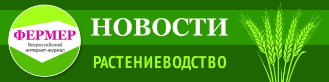 Производство тепличных овощей в России увеличилось