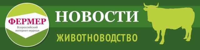 Объём реализации молока в сельхозорганизациях вырос на 3,8%